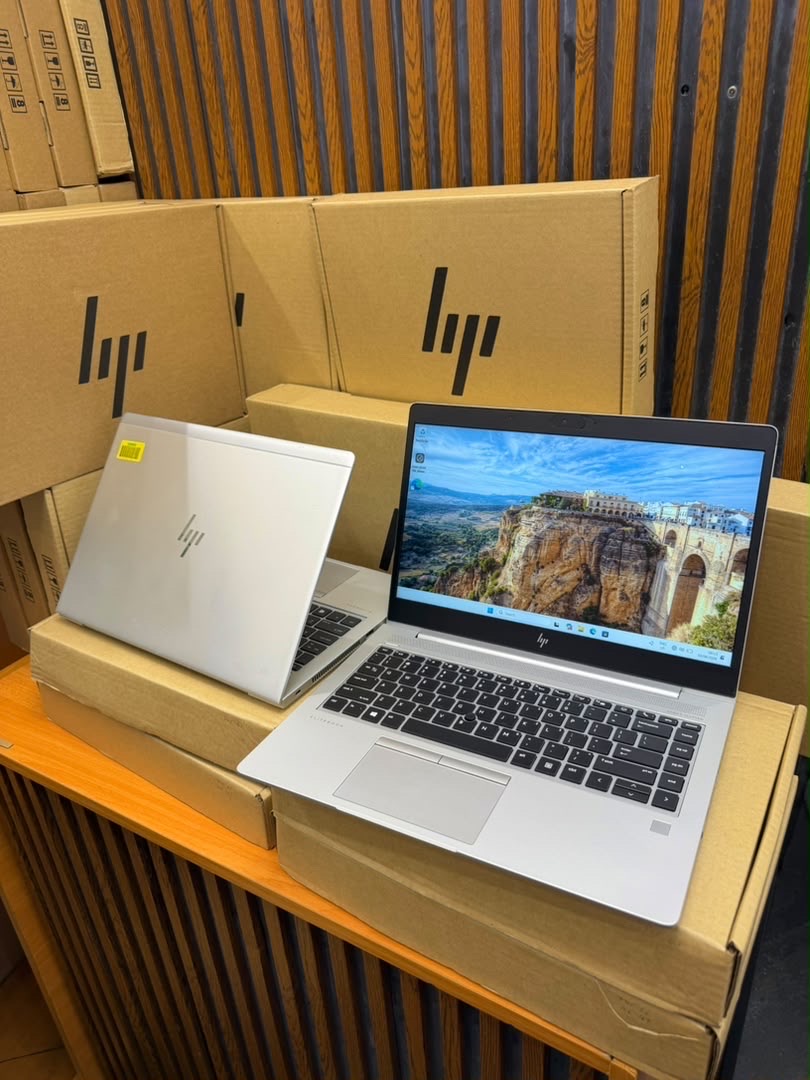HP EliteBook 745 g5 Laptop