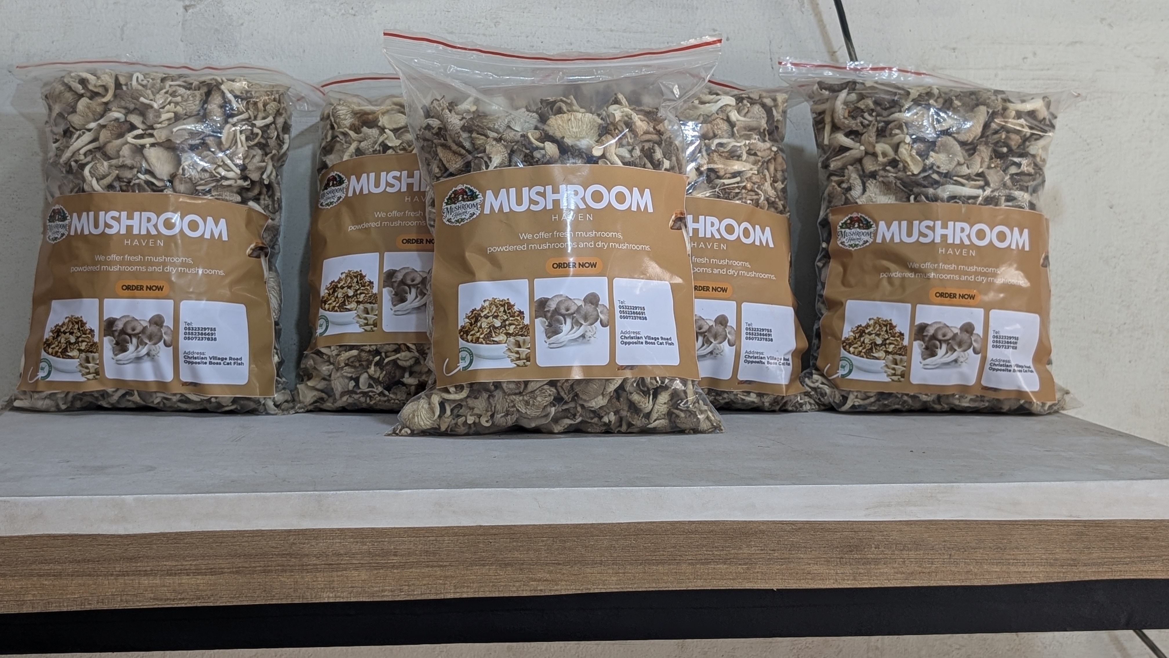 Grey Oyster Mushrooms