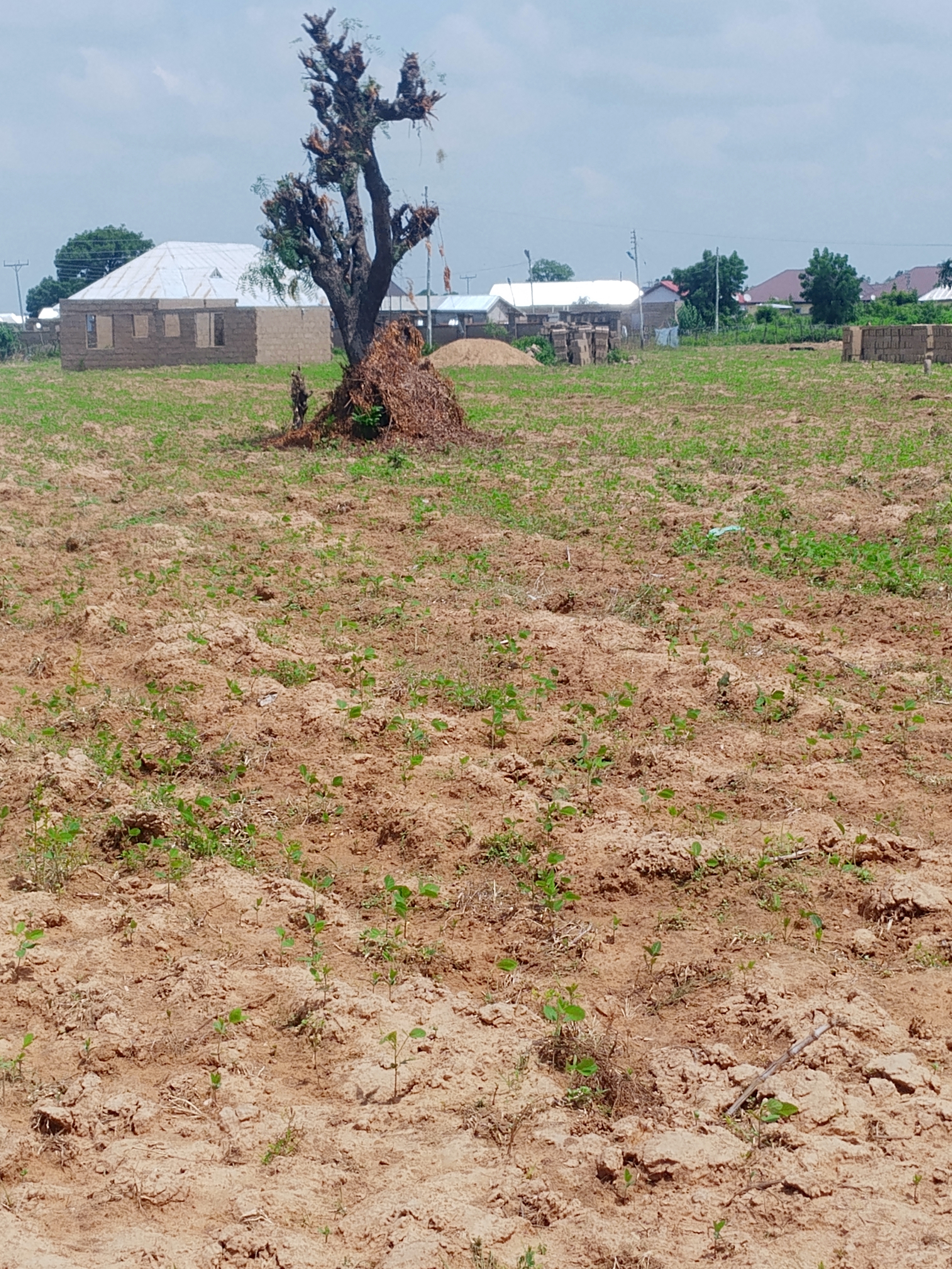 A plot of land at Chanshegu for sale