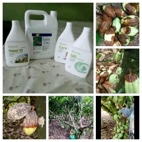 SUPER GRO ORGANIC LIQUID FERTILIZER