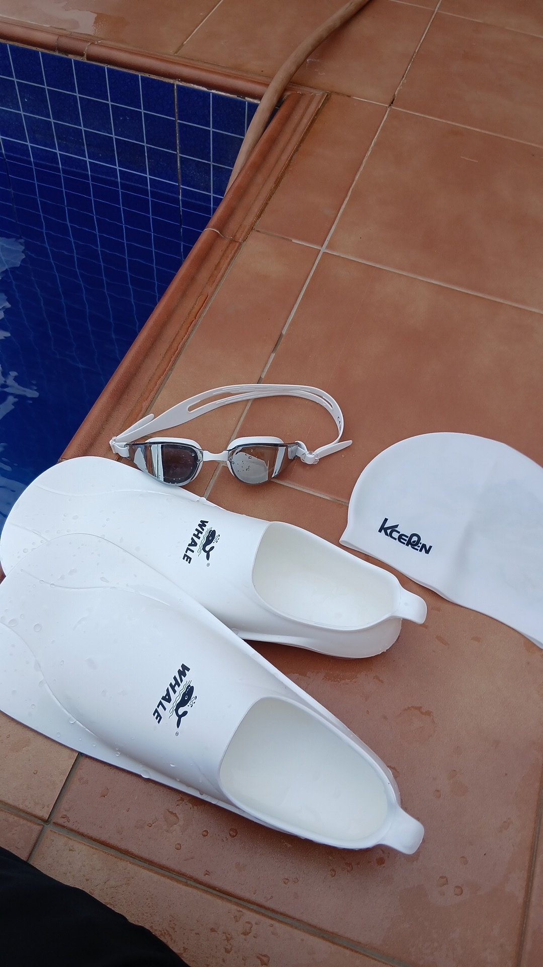 swimming fin