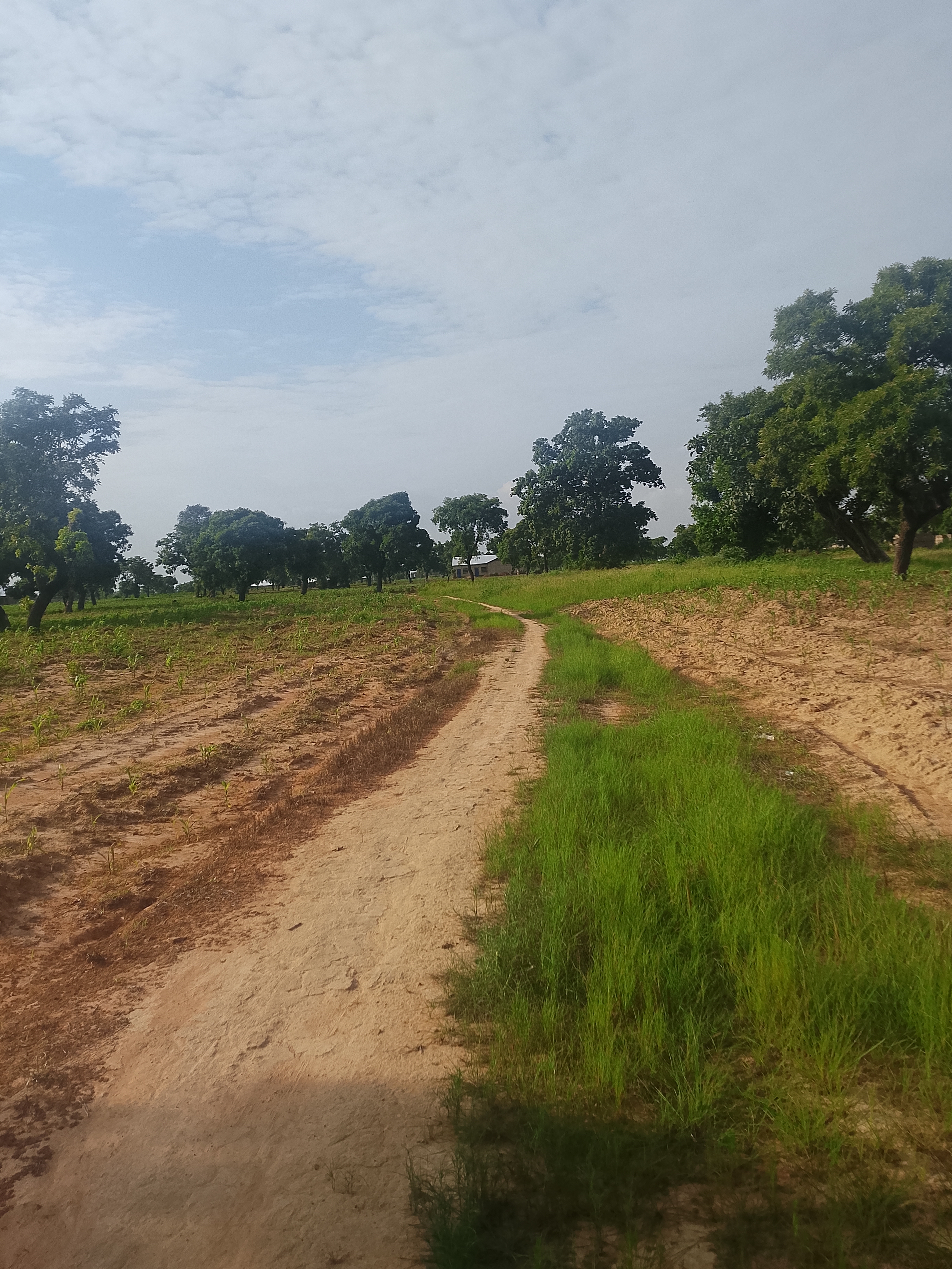 Affordable and commercial viable plots for sale at UDS DUNGU