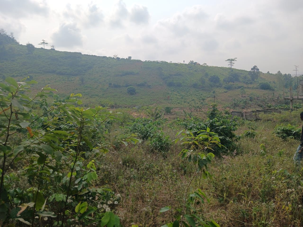 4plots of Registered Land For Sale