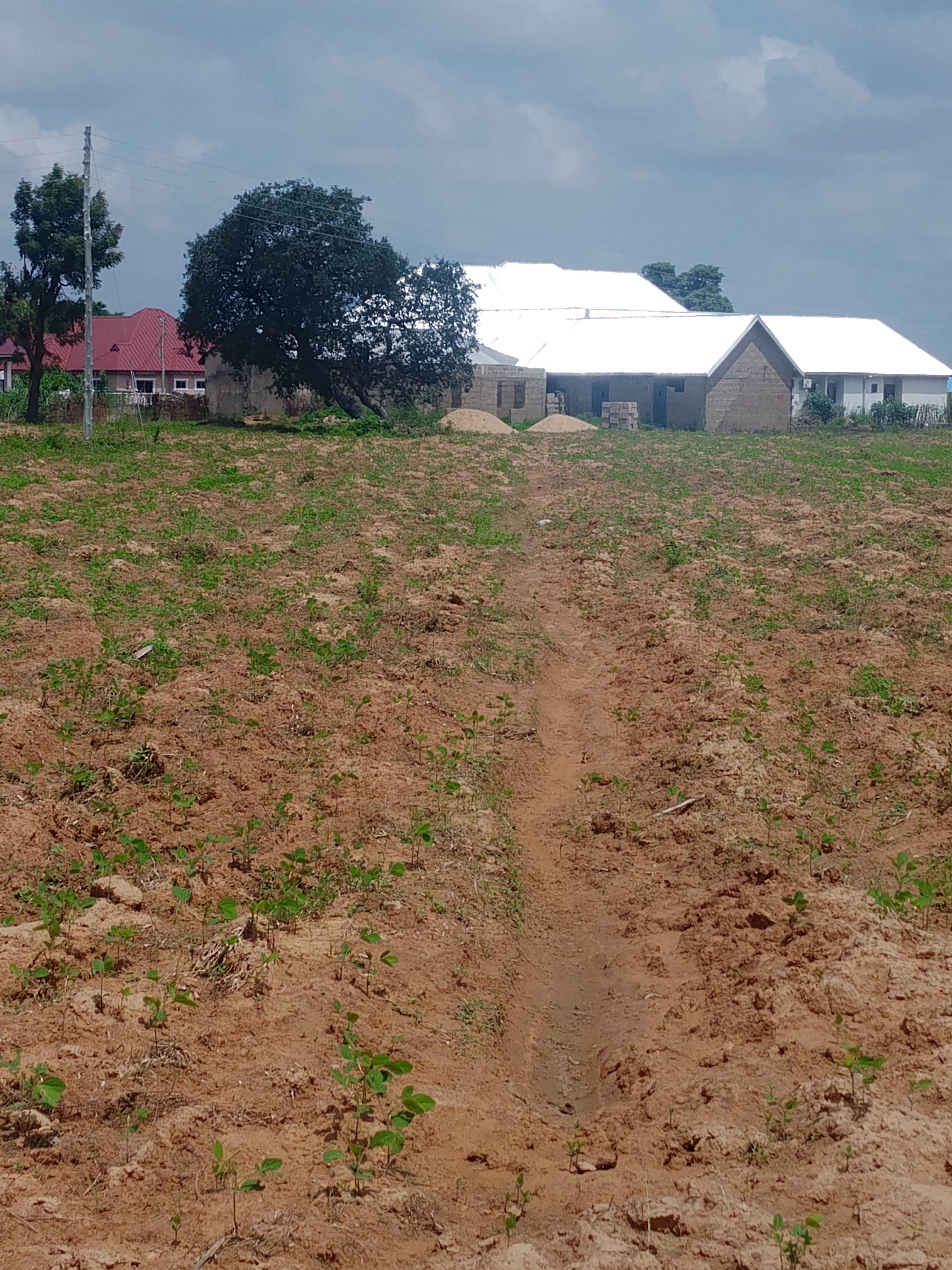 A plot of land at Chanshegu for sale