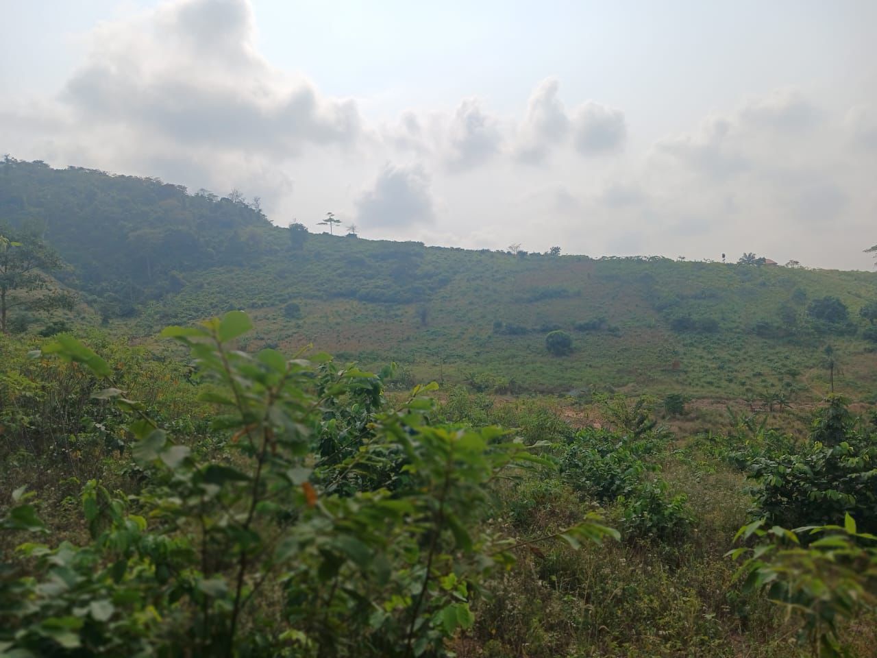 4plots of Registered Land For Sale