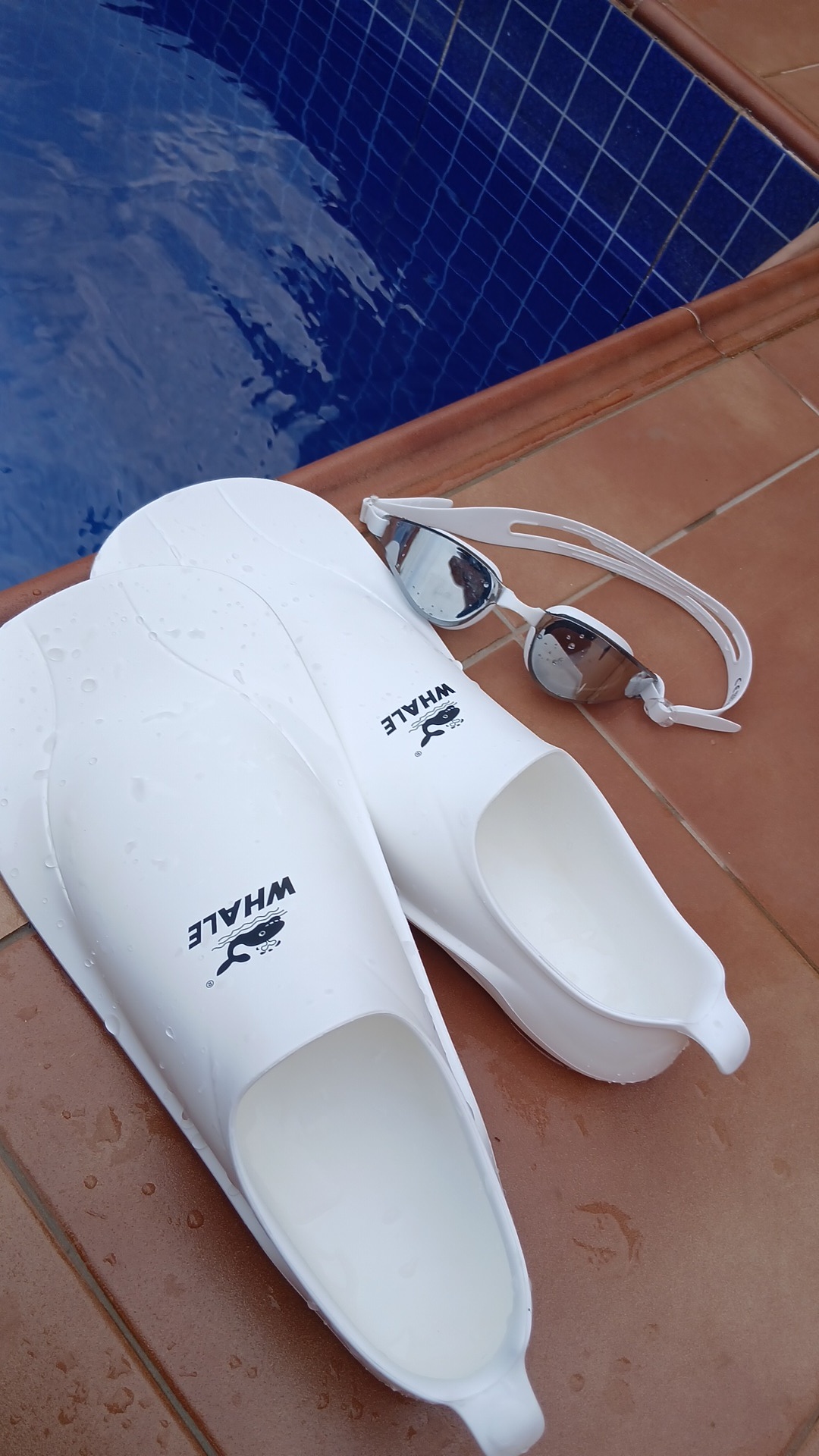 swimming fin