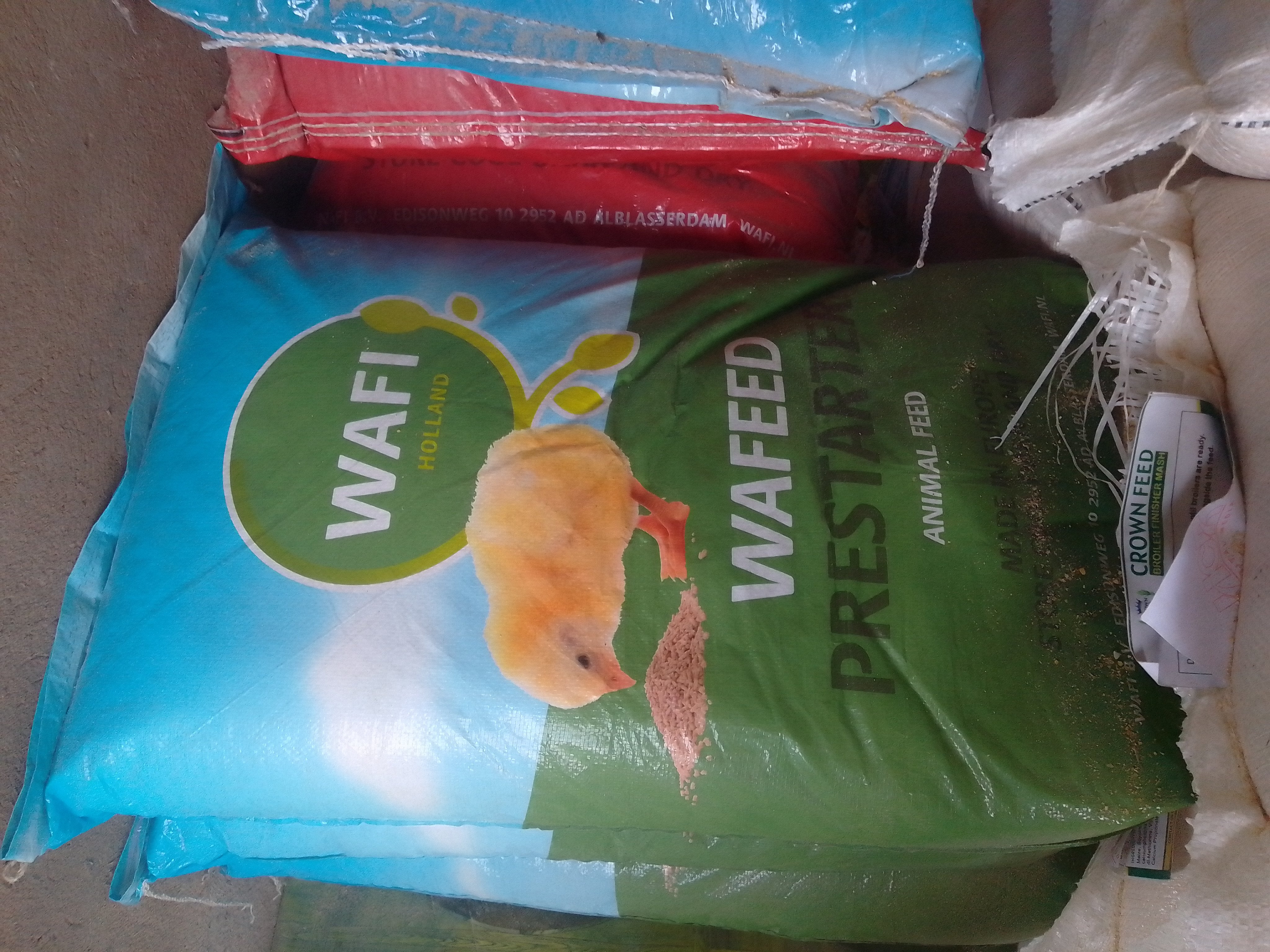 Wafi Holland Animal feed