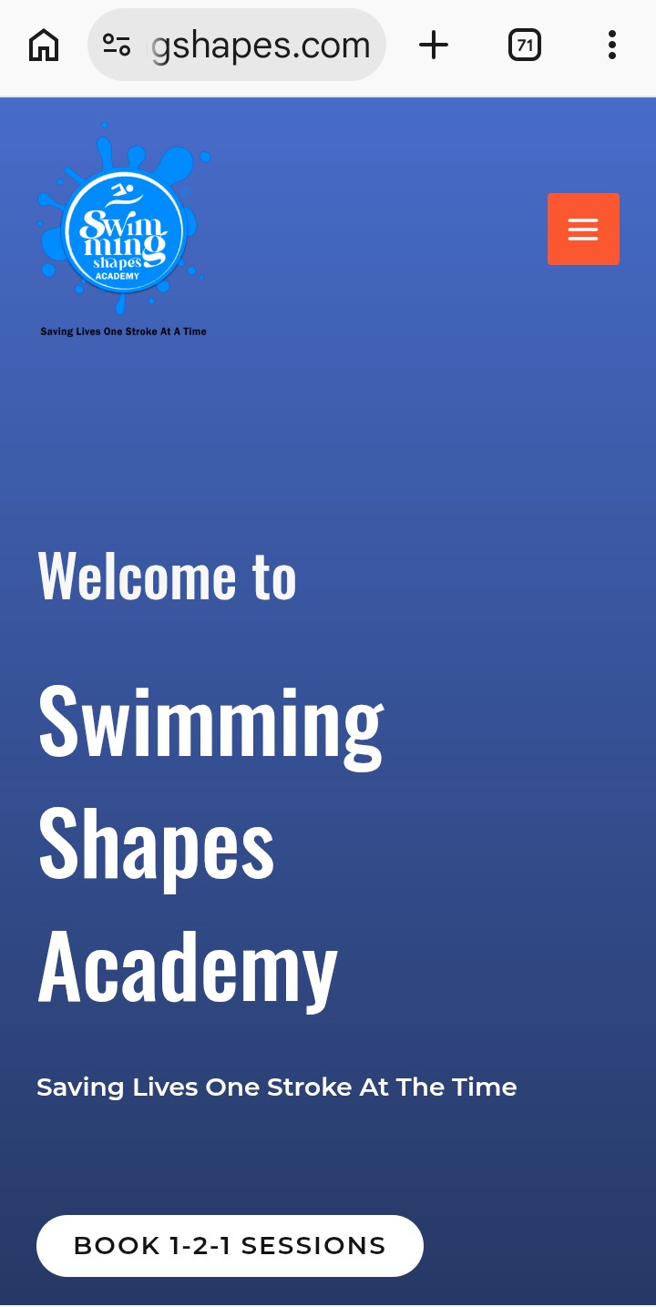 Professional websites