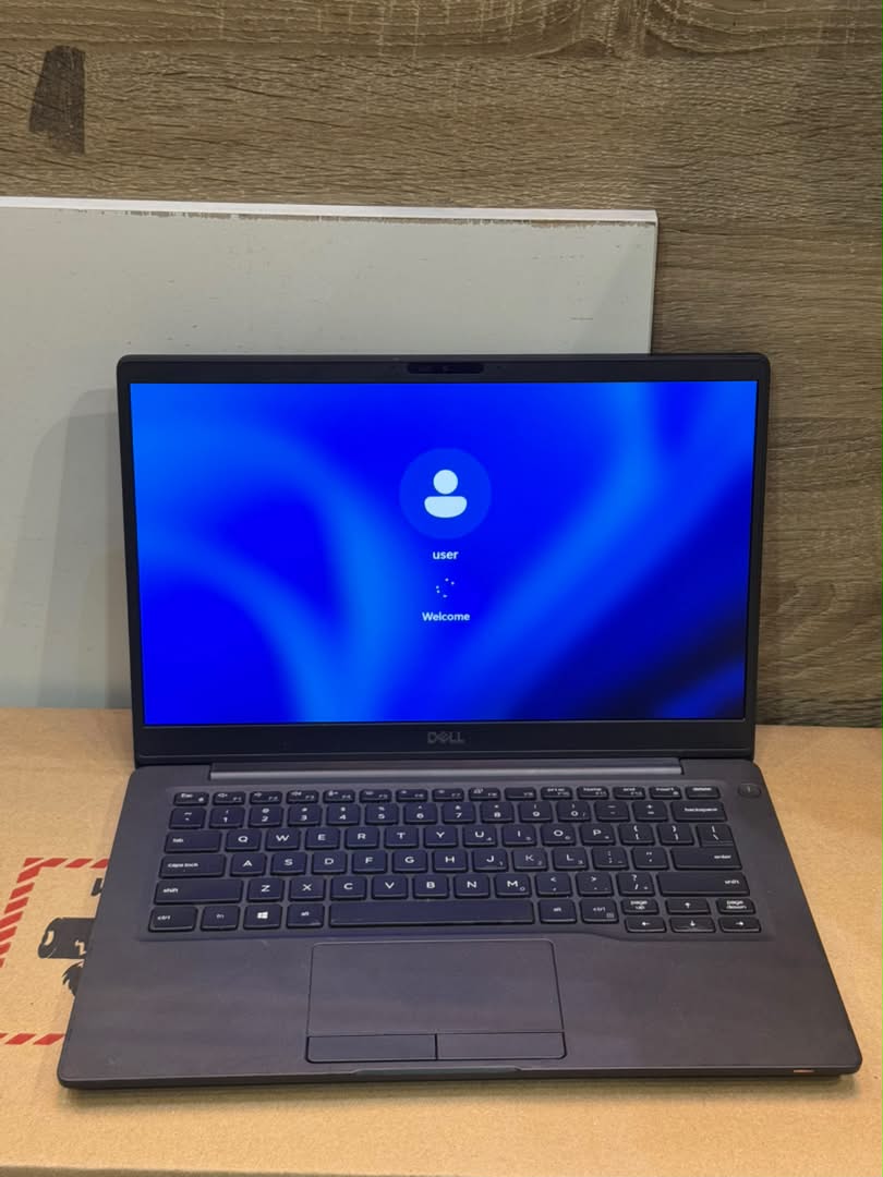 Dell Latitude 7300