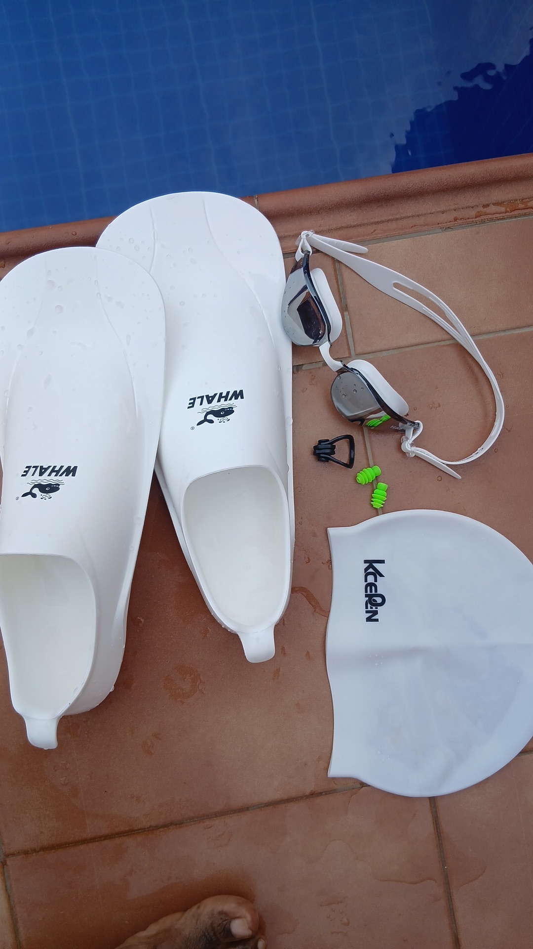 swimming fin