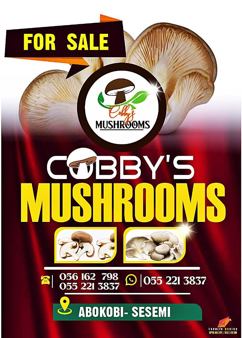Cobbys mushrooms