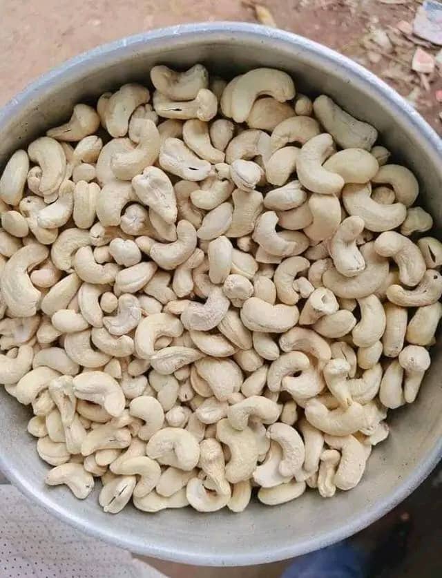Cashew Kernels W320
