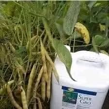 Super Gro® Wonder Drop