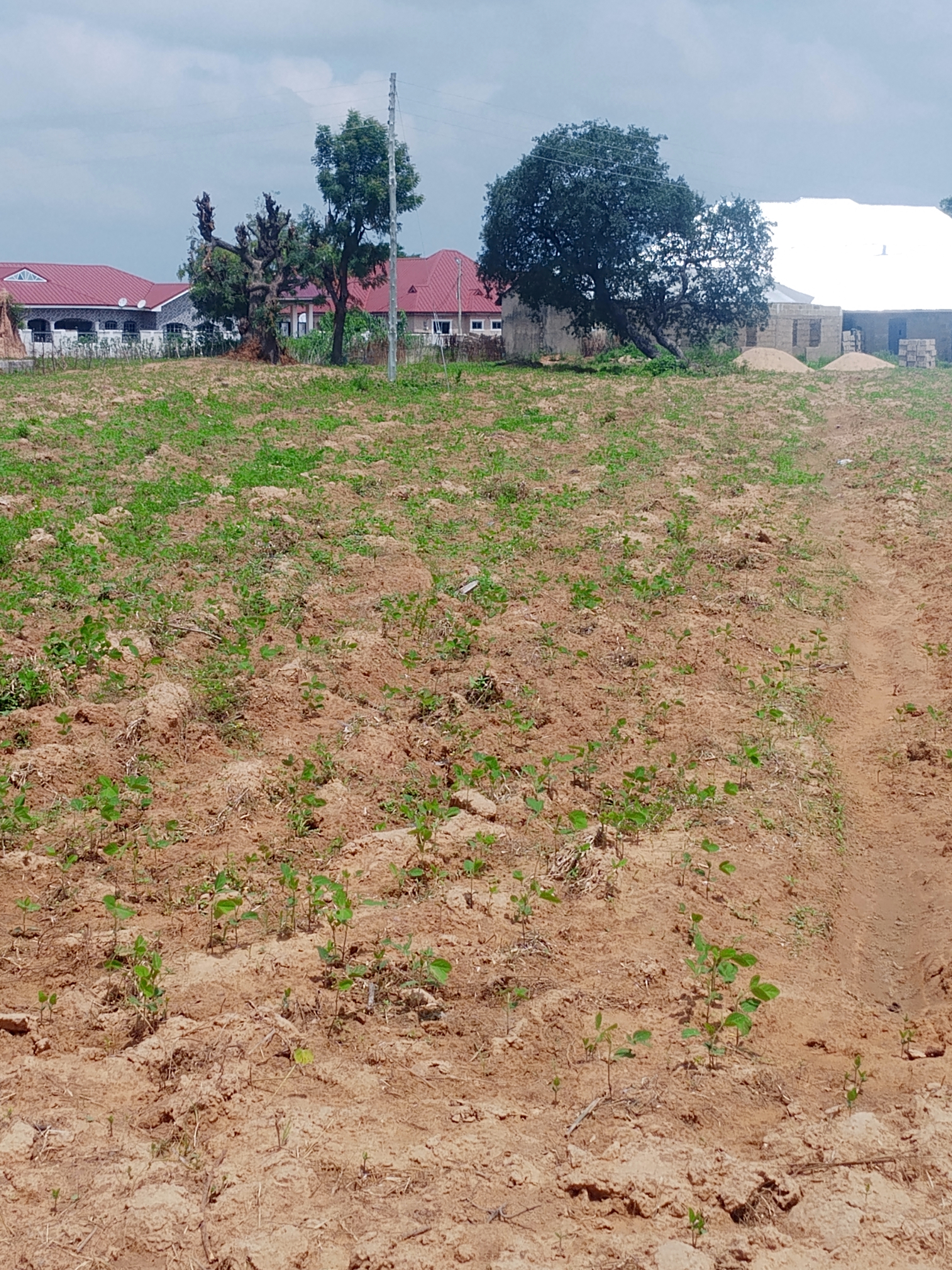 A plot of land at Chanshegu for sale