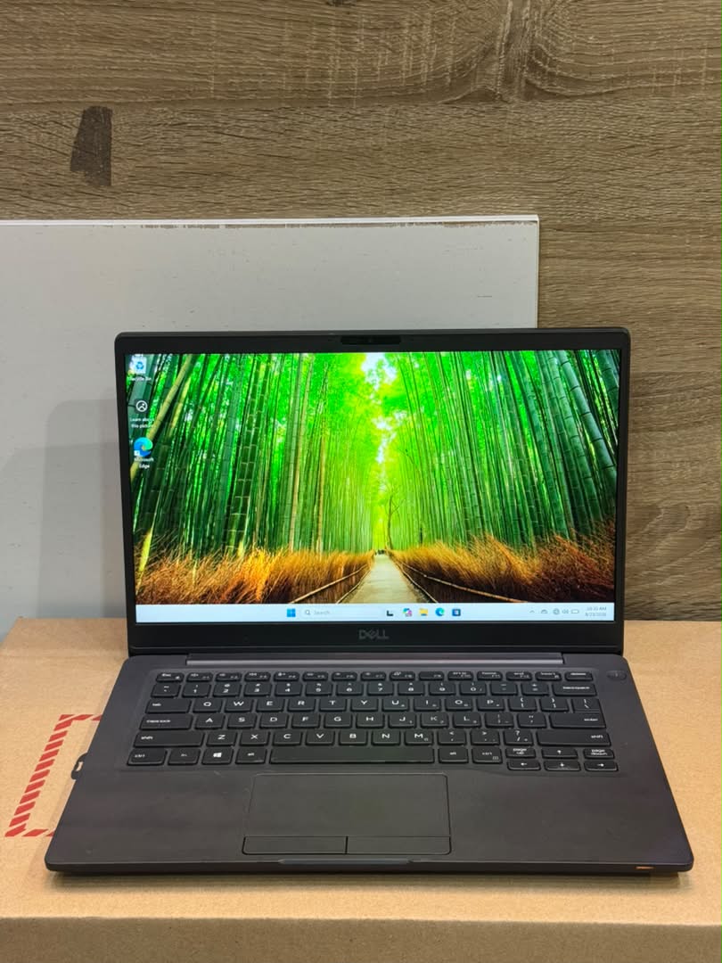 Dell Latitude 7300
