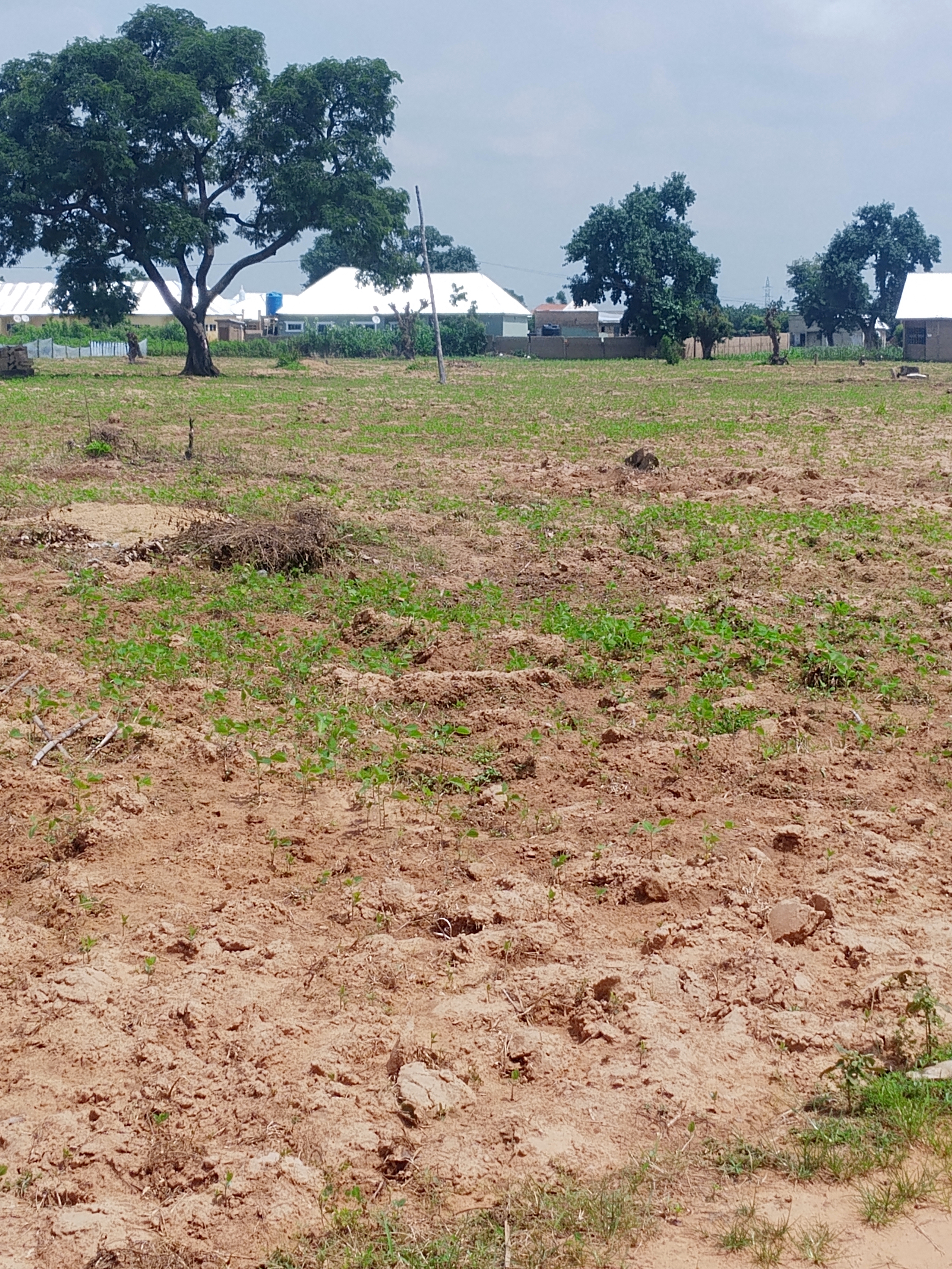 A plot of land at Chanshegu for sale