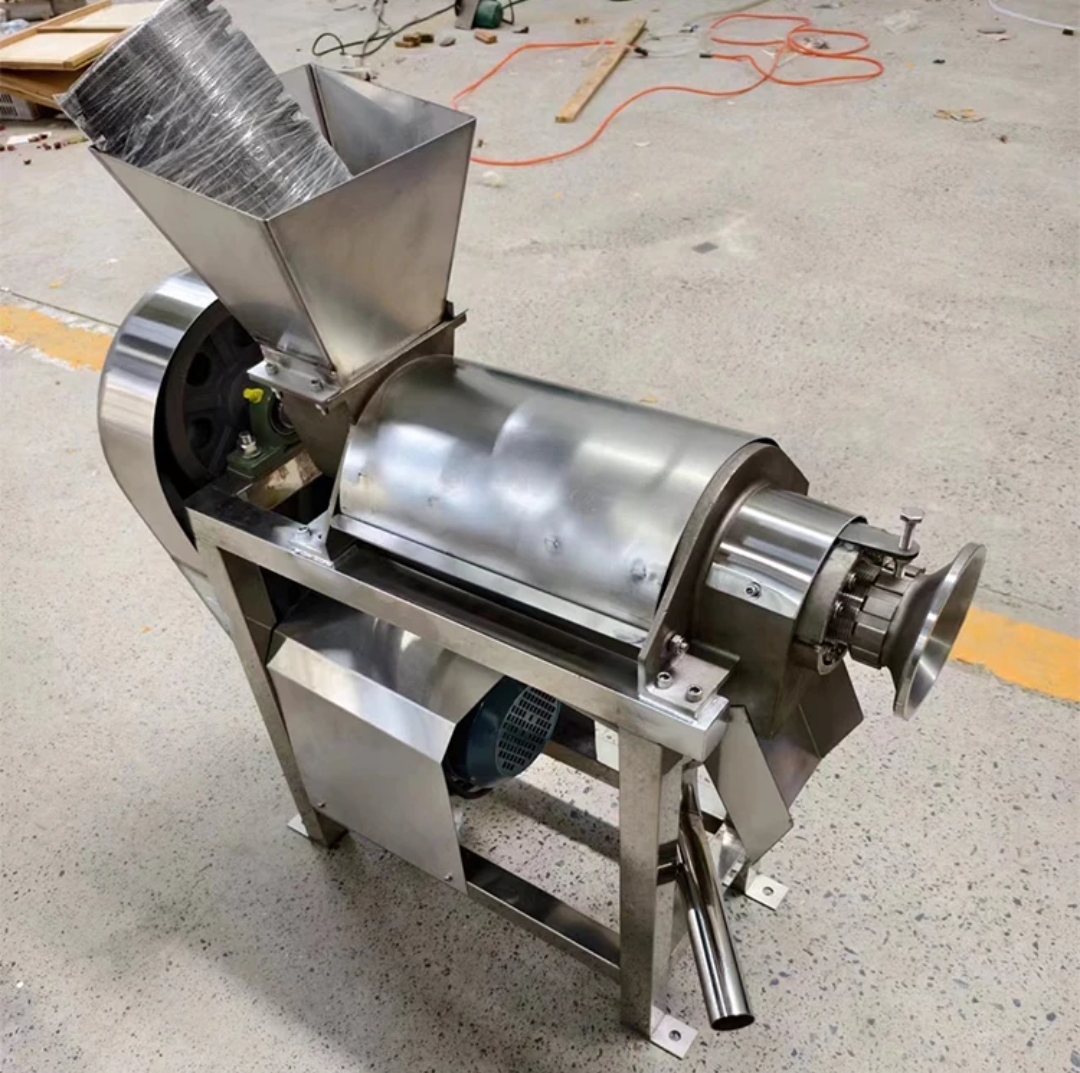 fruit Juicer commercial