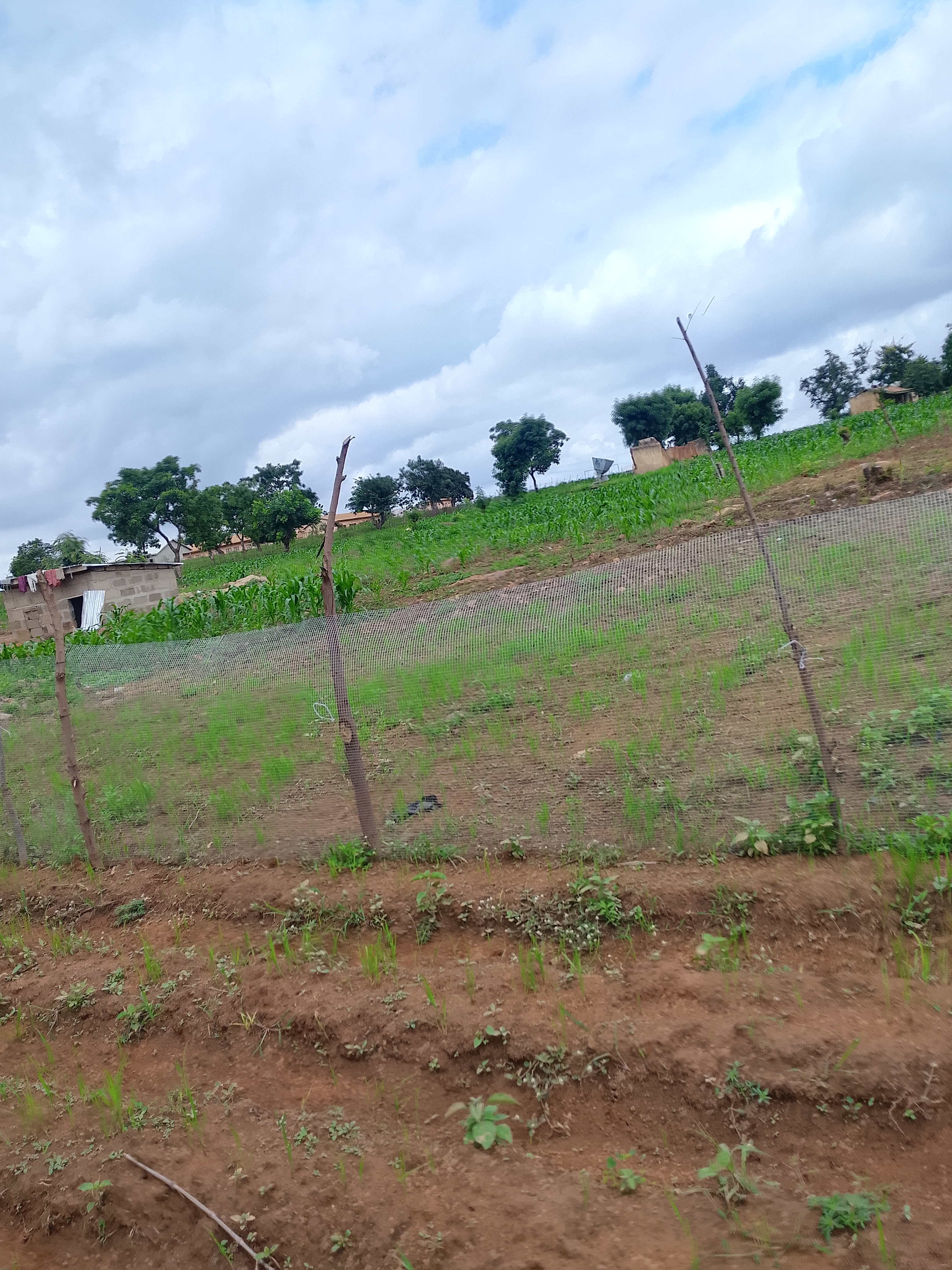 A plot of land at Tampion-Kukuo for sale