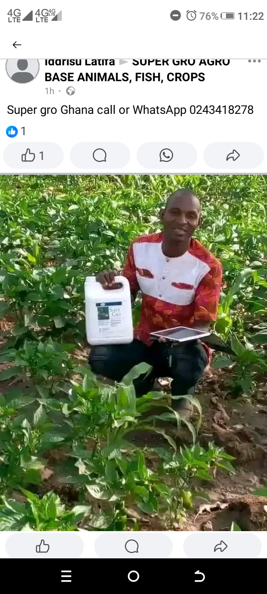 SUPER GRO ORGANIC LIQUID FERTILIZER