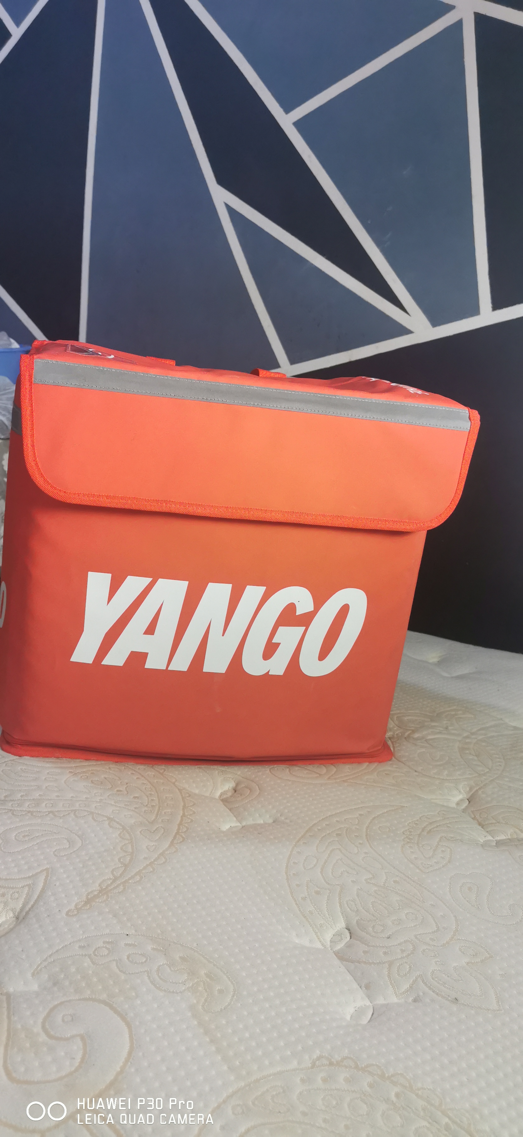 courier delivery bag