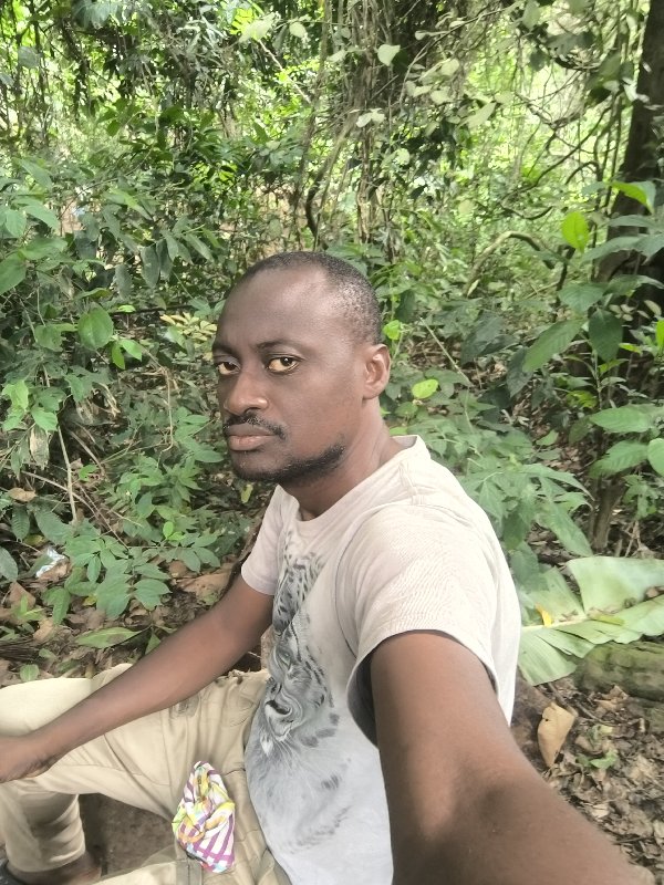 Michael Sarpong