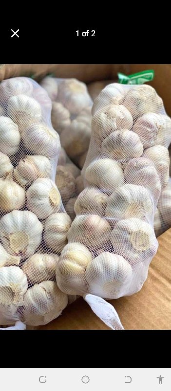 Benedicta Melody Adu